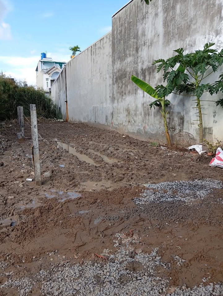 Đất nền 82m² tại Ấp Bình Tiền 2, Đức Hòa Hạ - Sổ đỏ chính chủ, giá 1.15 tỷ!