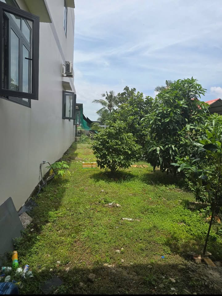 Nhà lầu mới xây tại Ấp 4, Tân Trạch, Cần Đước, 333m² giá 2.3 tỷ - Sẵn sàng vào ở ngay!