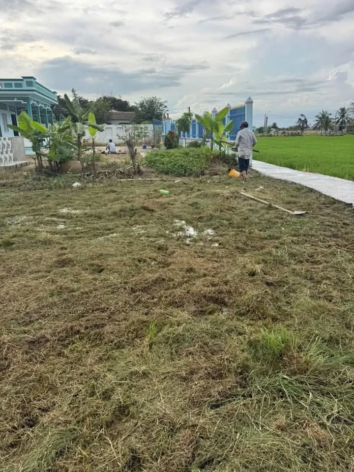 Đất thổ cư 150m² tại Ấp 3, Cần Đước chỉ 390 triệu - Sổ đỏ chính chủ!