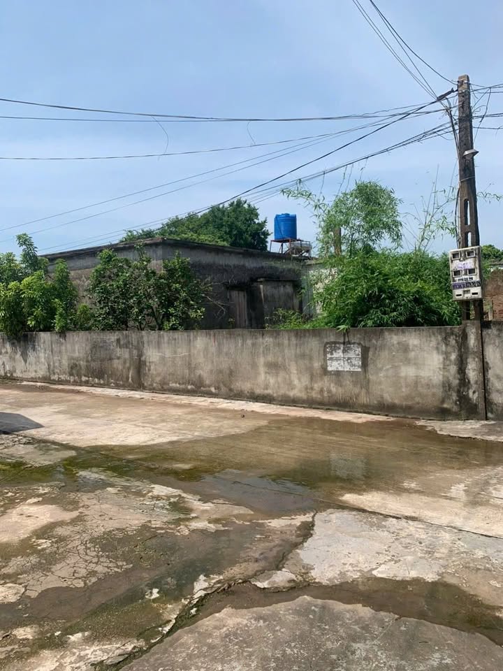 Đất nền Nam Trung Tiền Hải 102.9m² - Mặt tiền 4.6m, ô tô vào tận nơi!