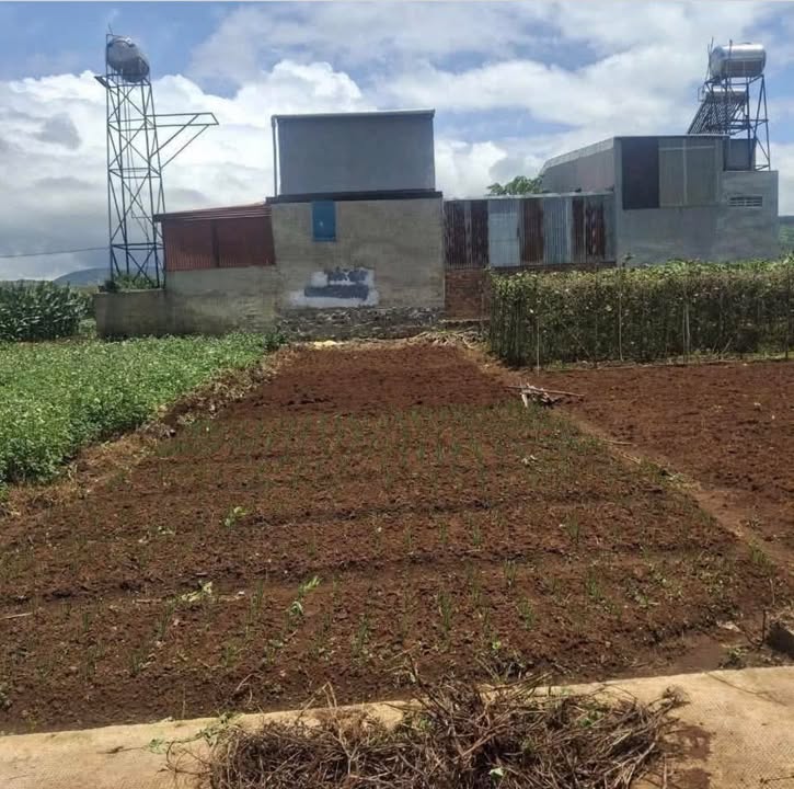 Đất nền Liên Hiệp Đức Trọng 100m² giá chỉ 780 triệu - Cơ hội đầu tư tuyệt vời!