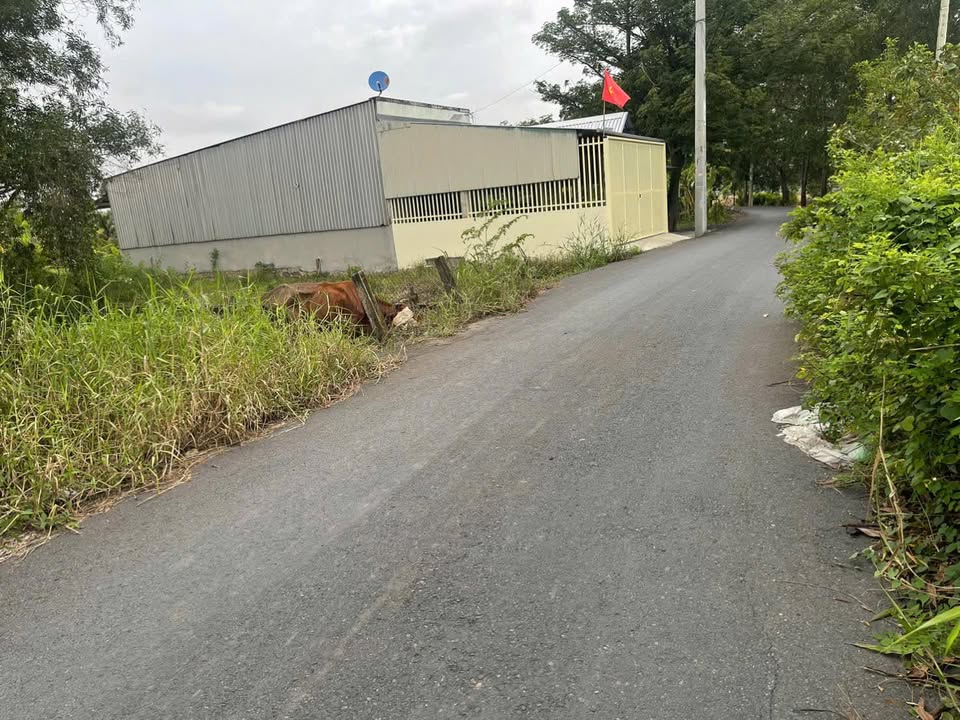 Nhà Hưng Long, Bình Chánh 209m² giá 2.2 tỷ - Mặt tiền kinh doanh thuận lợi!