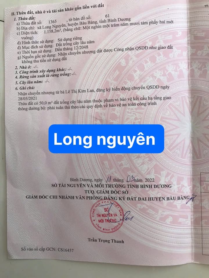 Đất nền Long Nguyên 1158m² giá thỏa thuận - Đường rộng 2 xe tải tránh nhau