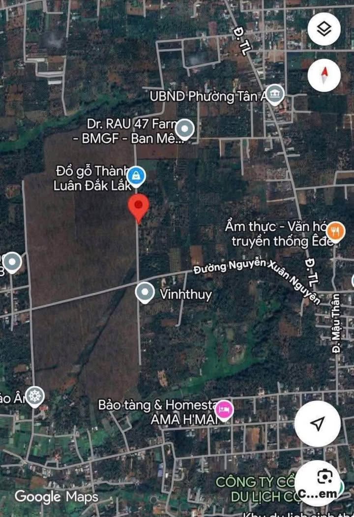 Đất nền 500m² tại đường Nguyễn Xuân Nguyên, Tân An - Giá chỉ 785 triệu!