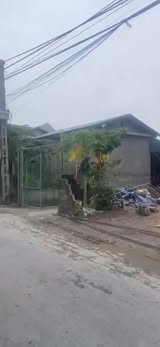 Đất nền Tân Quang Ninh Giang 127m² giá chỉ 1.1 tỷ - Đầu tư sinh lời ngay!