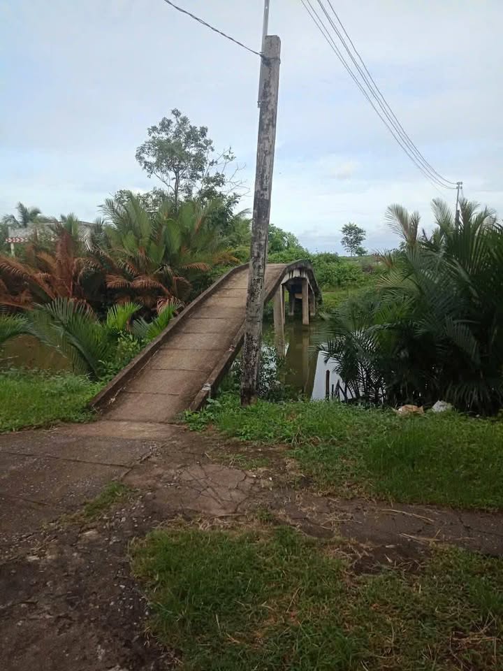 Đất vuông tôm 14.000m² tại ấp Châu Điền, Bạc Liêu - Giá chỉ 1.008 tỷ!