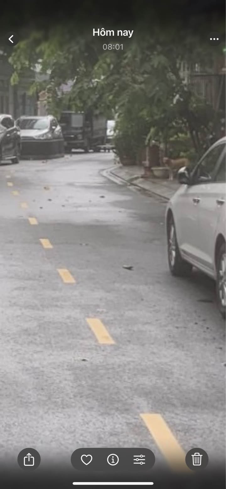 Nhà phố Phạm Nhữ Tăng, Thanh Khê, 83,3m² giá 6 tỷ - Thiết kế hiện đại, sẵn sàng vào ở!