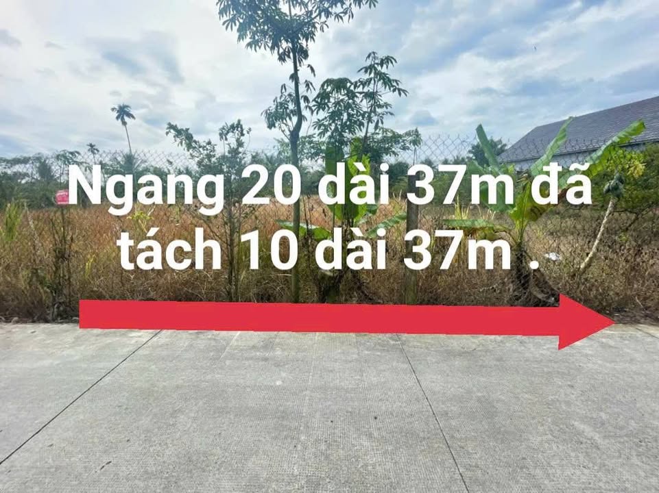 Đất nền đẹp mặt tiền đường Thới Sơn, 740m² chỉ 2.8 tỷ - Sổ đỏ chính chủ!