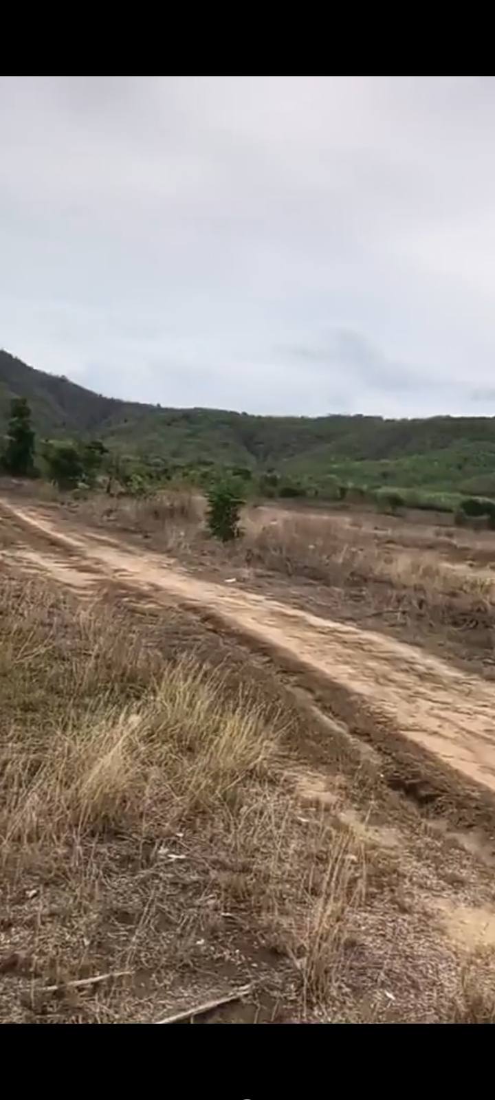 Đất nền Sông Lũy Bắc Bình 28,000m² giá thỏa thuận - Cơ hội đầu tư hấp dẫn!