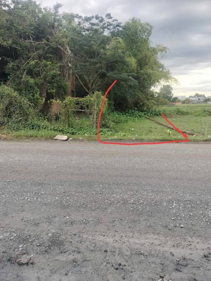 Đất thổ cư mặt tiền TL9, 140m² giá 2.5 tỷ - Kinh doanh đa ngành nghề