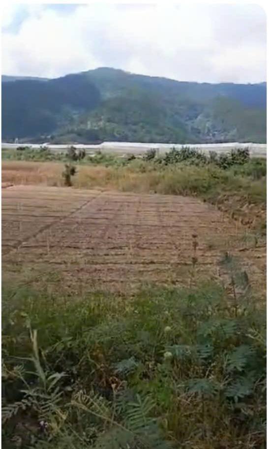 Đất nông nghiệp 2,9ha tại Lạc Xuân, Đơn Dương - Giá chỉ 7,9 tỷ!