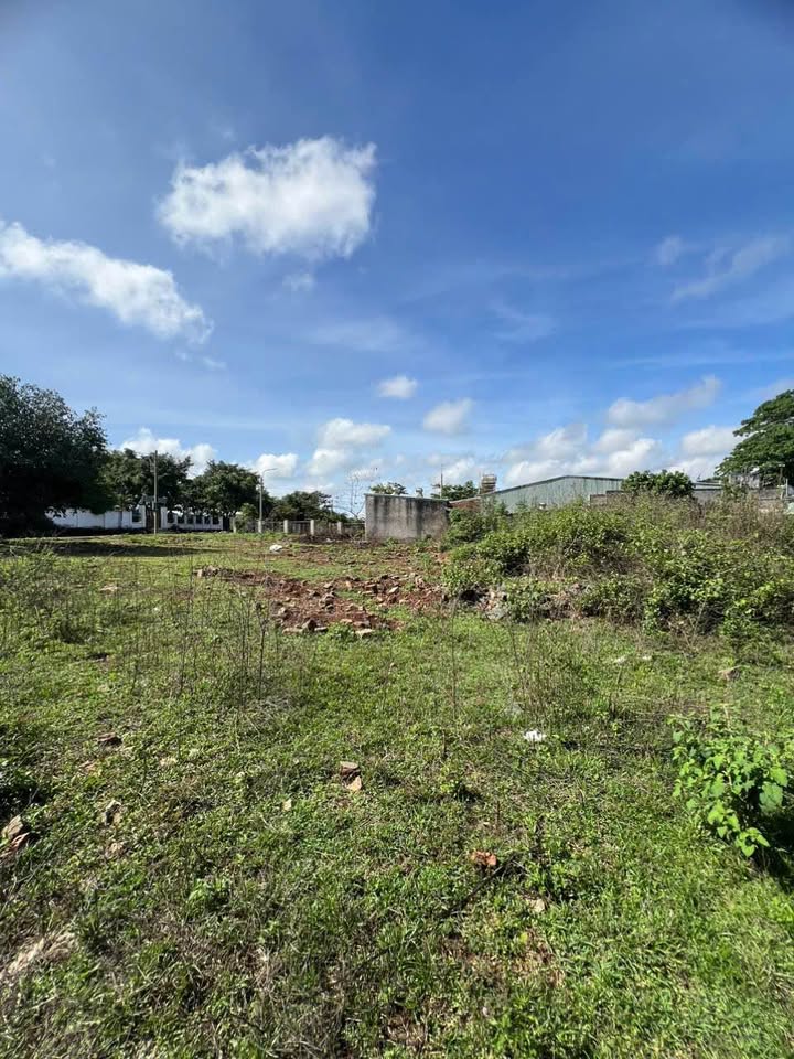 Đất nền 440m² đường Nguyễn Chí Thanh, Pleiku - Đầu tư sinh lời ngay!