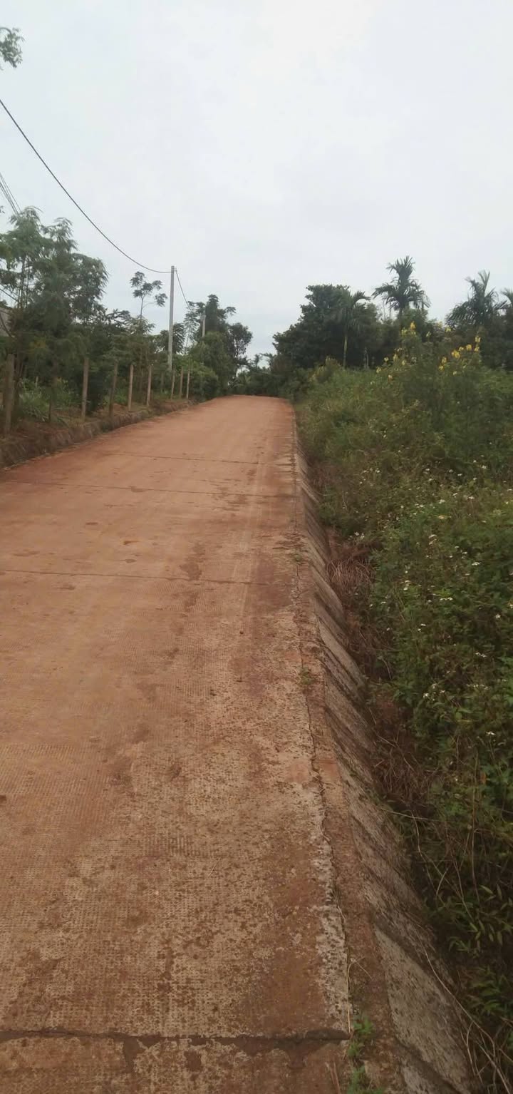 Đất nền Cư Dliê M'Nông 500m² giá chỉ 300 triệu - Cơ hội đầu tư hấp dẫn!