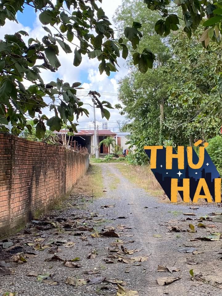 Đất nền 1000m² Ấp 7 Gia Canh, Định Quán giá 850 triệu - Vị trí thuận lợi cho đầu tư