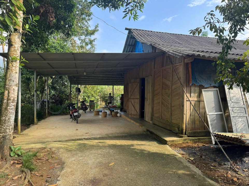 Đất thổ cư 280m² tại Phong Hải, Bảo Thắng chỉ 1 tỷ - Cơ hội vàng đầu tư!