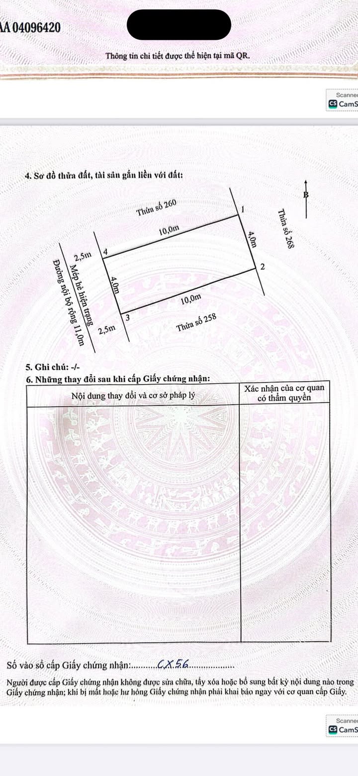Đất TDC Cây Đa Hải Phòng 40m² giá 1.1 tỷ - Chính chủ bán gấp!