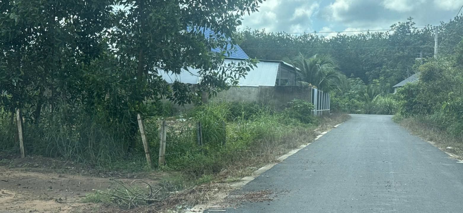 Đất Dầu Tiếng Bình Dương 300m² giá 350 triệu - Sổ hồng riêng, gần chợ và trường học!