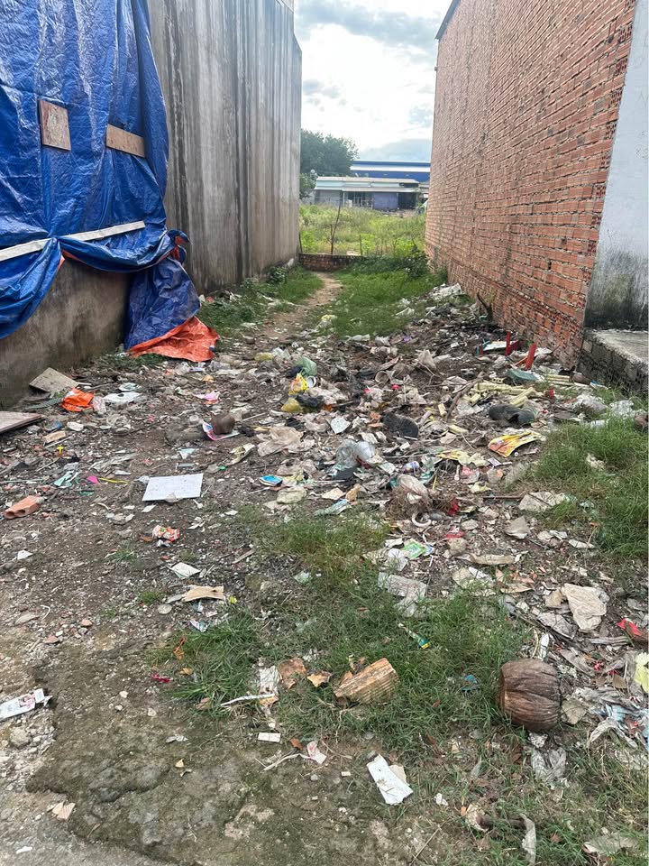 Đất nền Tân Hiệp, Dĩ An 72m² giá 550 triệu - Cơ hội đầu tư tuyệt vời!