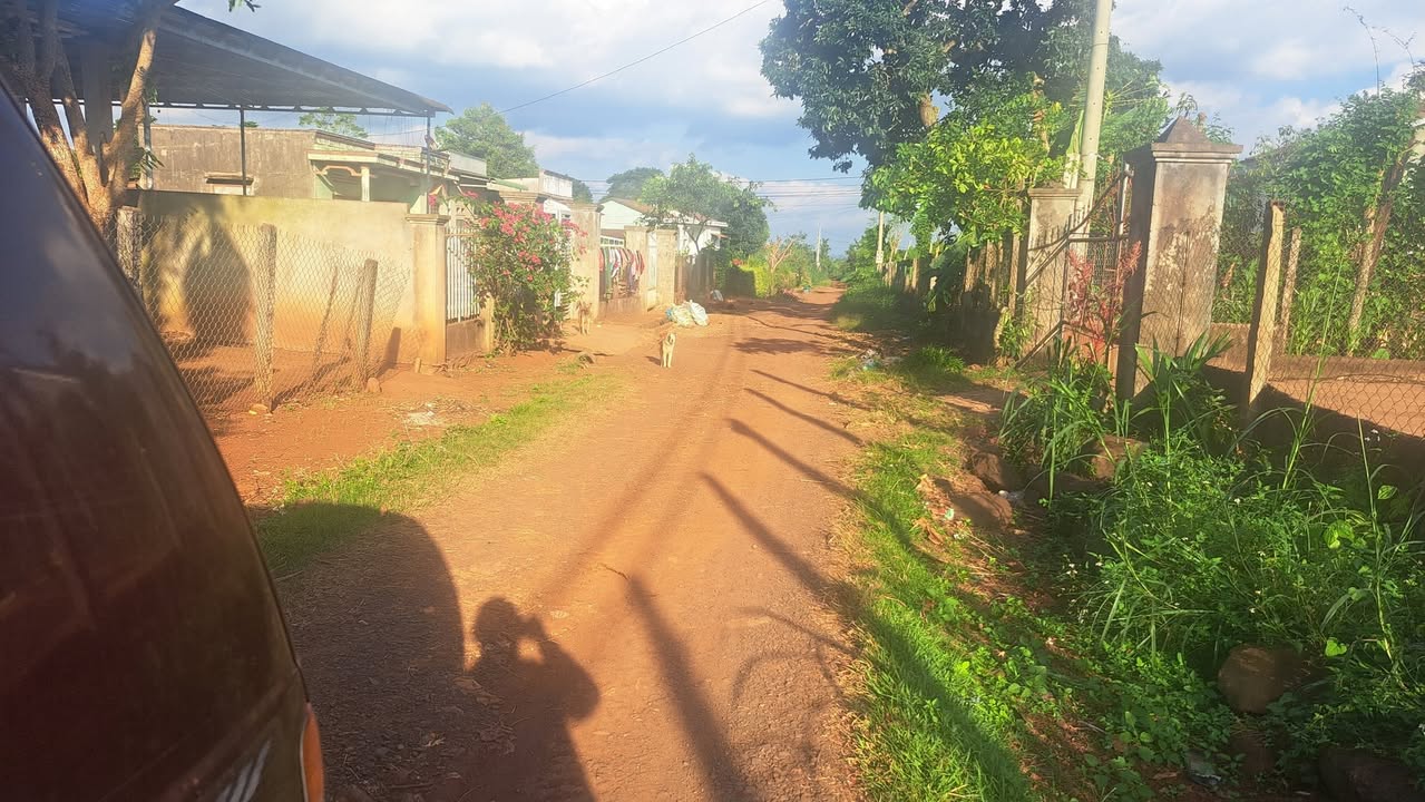 Đất nền Cư Bao Buôn Hồ 250m² giá 299 triệu - Cơ hội đầu tư hấp dẫn!