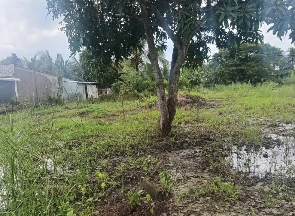 Đất nền dưỡng sinh 1090m² mặt tiền Vàm Bi, Phong Điền - Giá 2.9 tỷ thương lượng!