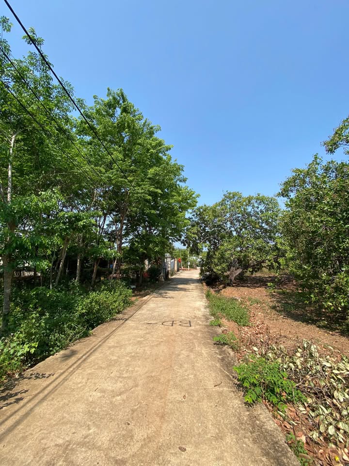 Đất nền Phú Mỹ, Tân Phú, 828m², Giá thỏa thuận - Đầu tư sinh lời ngay!