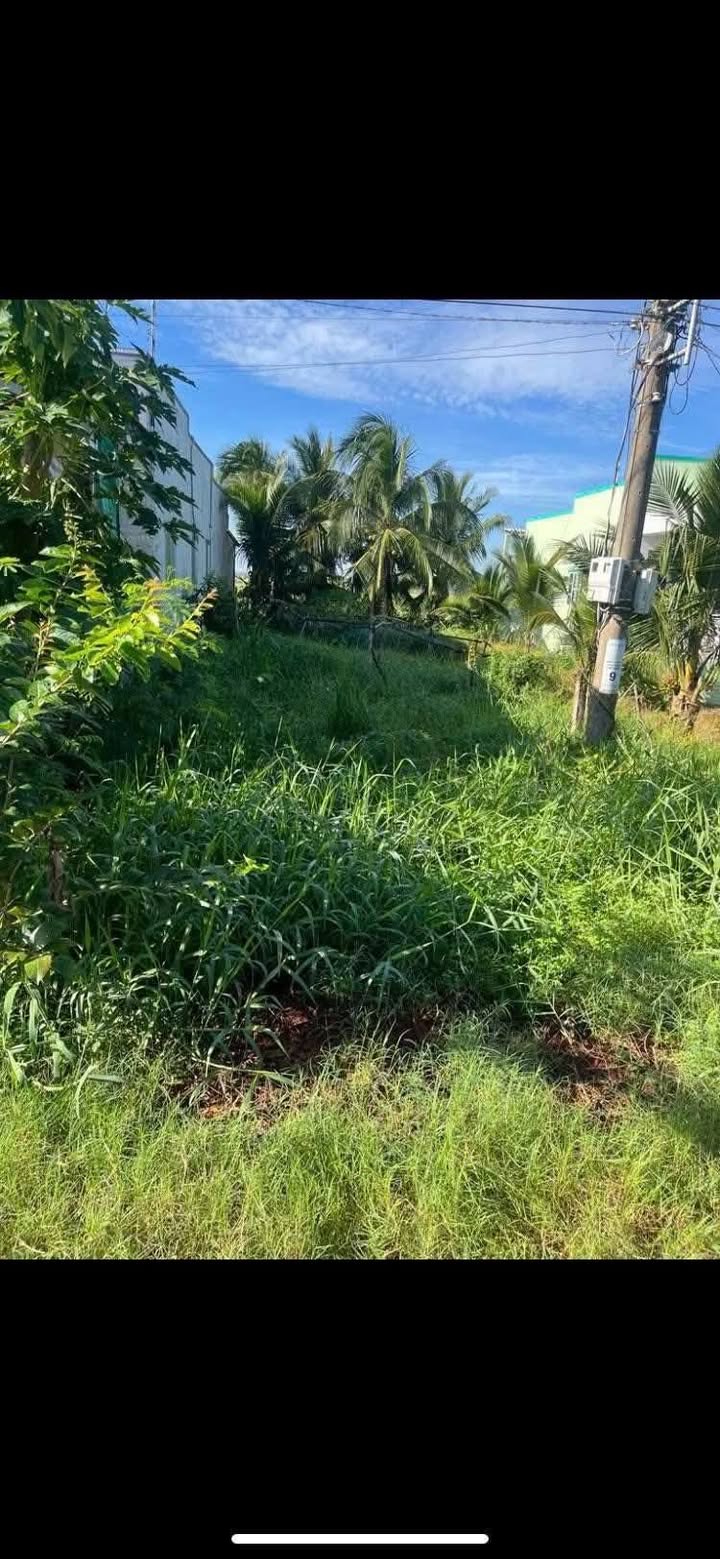 Đất mặt tiền đường TL 871C, xã Tân Điền, Gò Công Đông, 180m² - Sổ đỏ chính chủ, giá 640 triệu!