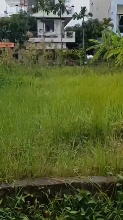 Đất thổ cư 51.8m² tại Hồng Vân, Thường Tín - Pháp lý đầy đủ, đầu tư sinh lời!