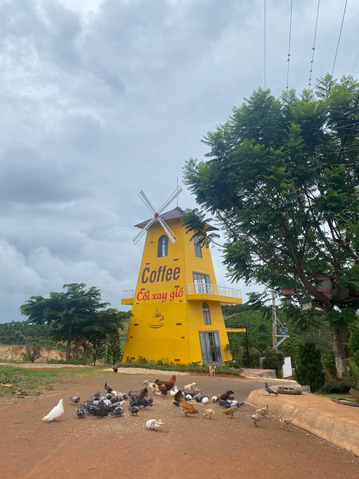 Lâm Viên Villas Nam Hà - 1 triệu/đêm - Nơi nghỉ dưỡng tuyệt vời giữa thiên nhiên