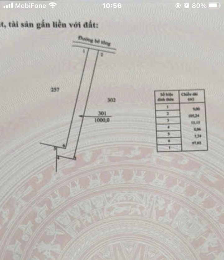 Đất Bàu Chinh Châu Đức 3600m² giá 720 triệu - Cơ hội đầu tư hấp dẫn!