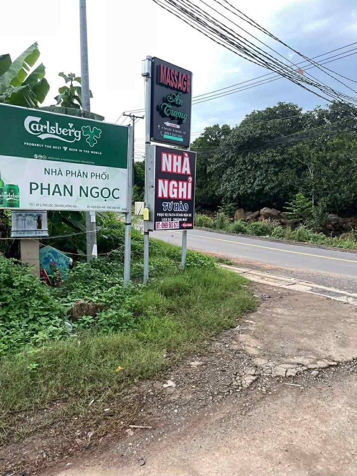 Đất thổ cư 1000m² xã Tân Phú, giá chỉ 85 triệu - Đầu tư sinh lời ngay!