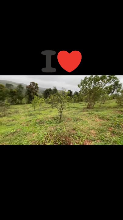 Đất nền 1ha Quảng Trực Tuy Đức giá chỉ 380 triệu - Cơ hội đầu tư lý tưởng!