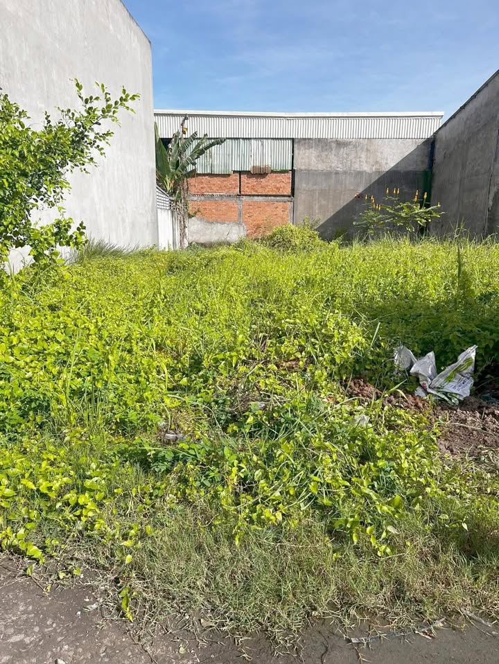 Đất nền thổ cư Mỹ Lộc, Cần Giuộc 102m² giá chỉ 950 triệu - Cơ hội đầu tư sinh lời!