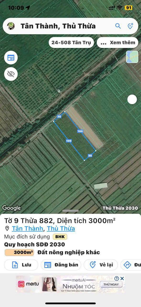 Đất vườn 3000m² tại ấp 3 Tân Thành, Thủ Thừa - Đầu tư sinh lời lý tưởng!