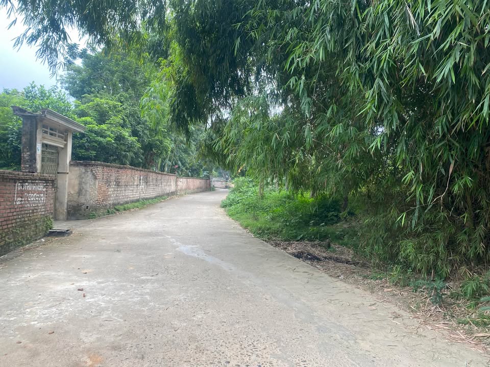 Đất nền Dữu Lâu 130m² giá thỏa thuận - Lô góc 2 mặt tiền thông thoáng!