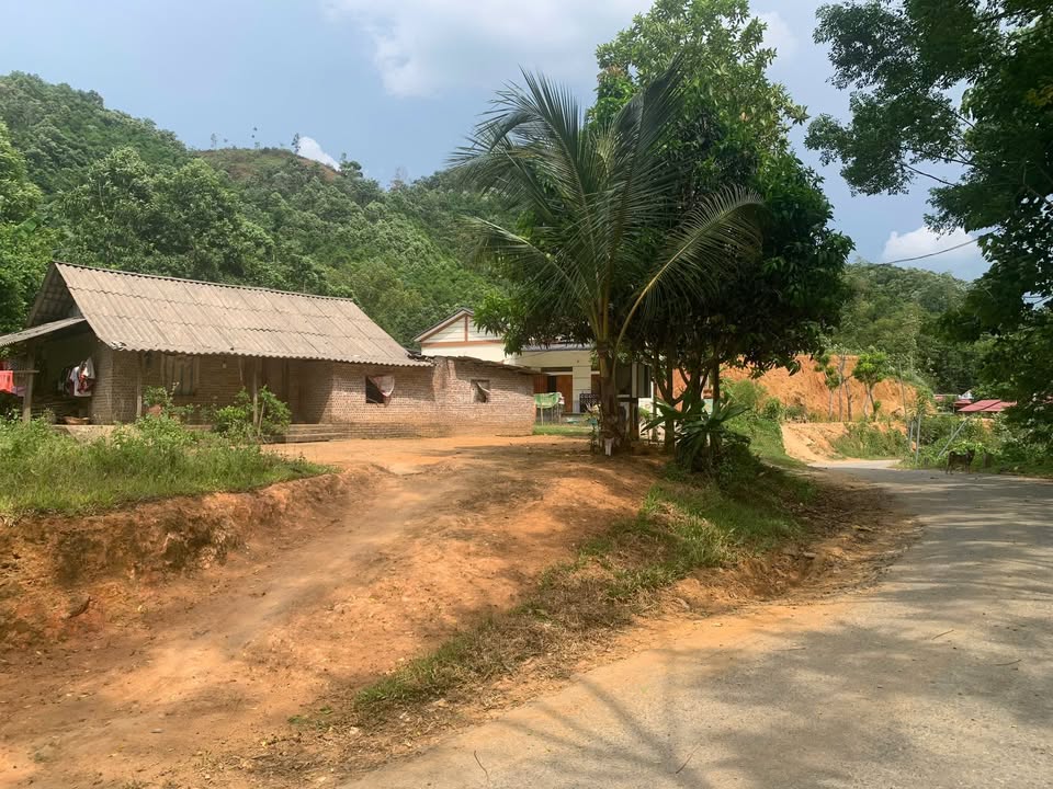 Đất nền Tân Sơn Phú Thọ 420m² giá thỏa thuận - Đầu tư sinh lời cao!