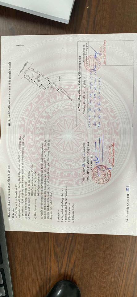 Đất thổ cư 300m² tại Xóm Mới, phường Bạch Hạc - Sổ đỏ chính chủ, giá thỏa thuận!