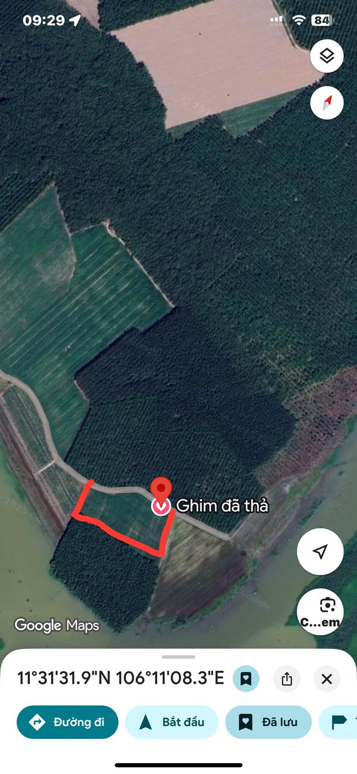 Đất Farm Thạnh Đông Tân Châu 3,4ha giá 3 tỷ - Cơ hội đầu tư hấp dẫn!