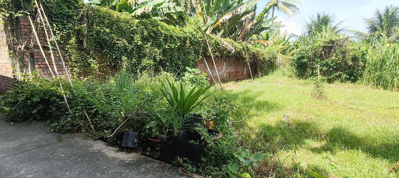 Đất nền Mỹ Phong 120m² giá đầu tư - Vị trí đẹp chỉ 40m đến đường 90D!