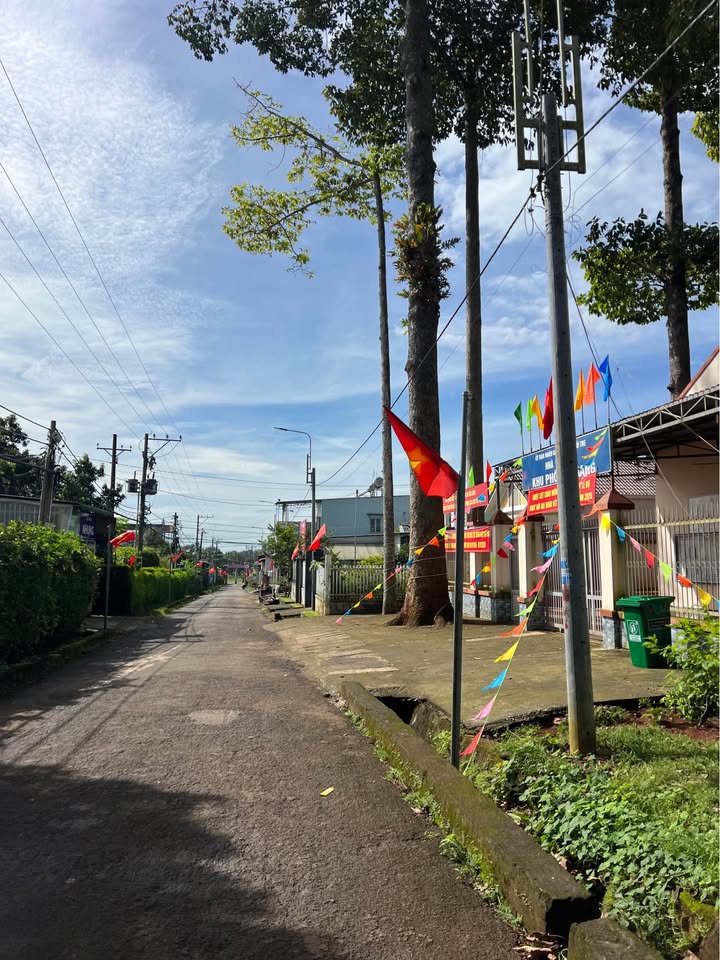 Đất nền Suối Tre Xuân Lộc 500m² giá 390 triệu - Bình yên giữa thiên nhiên!