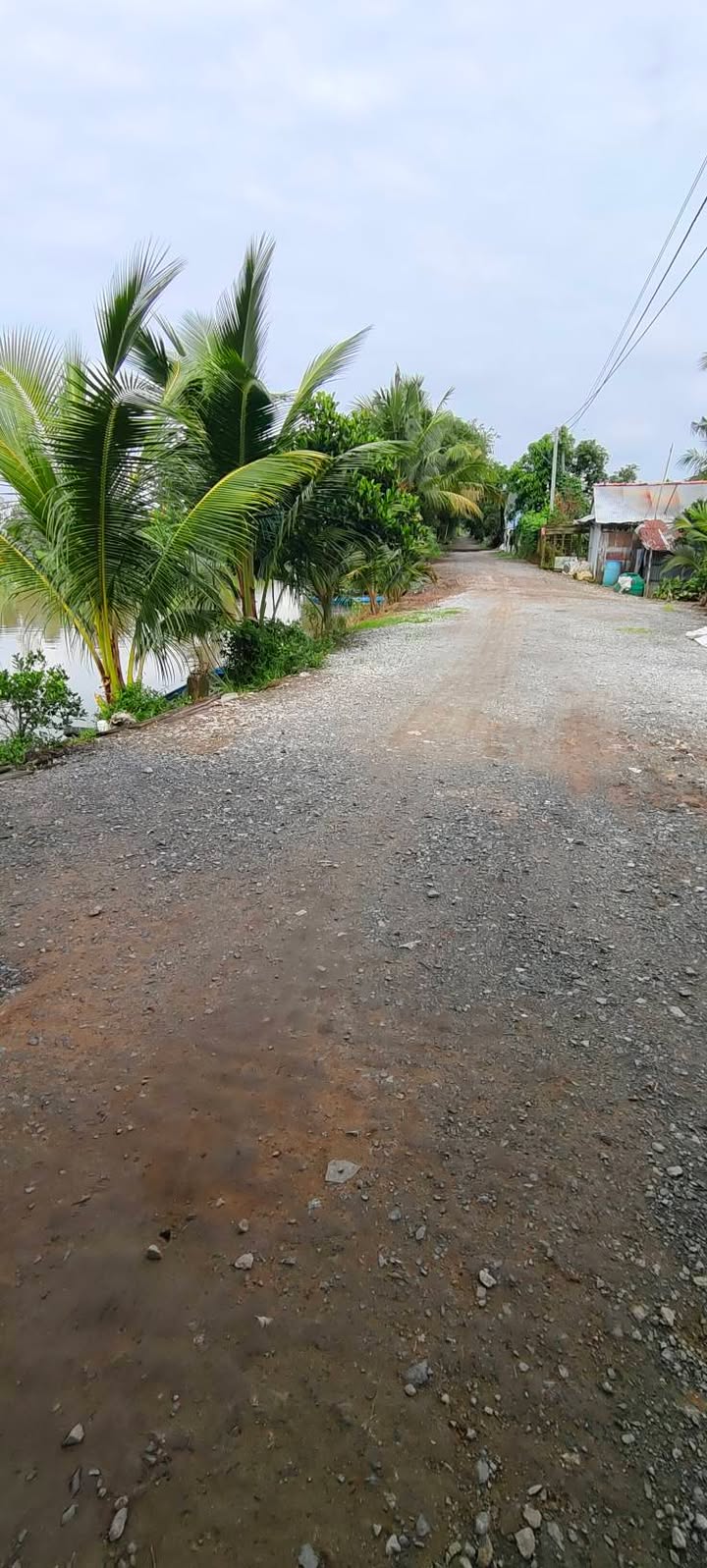 Đất Farm Vĩnh Khánh, An Giang 36.000m² giá 1.7 tỷ - Kinh doanh hiệu quả!