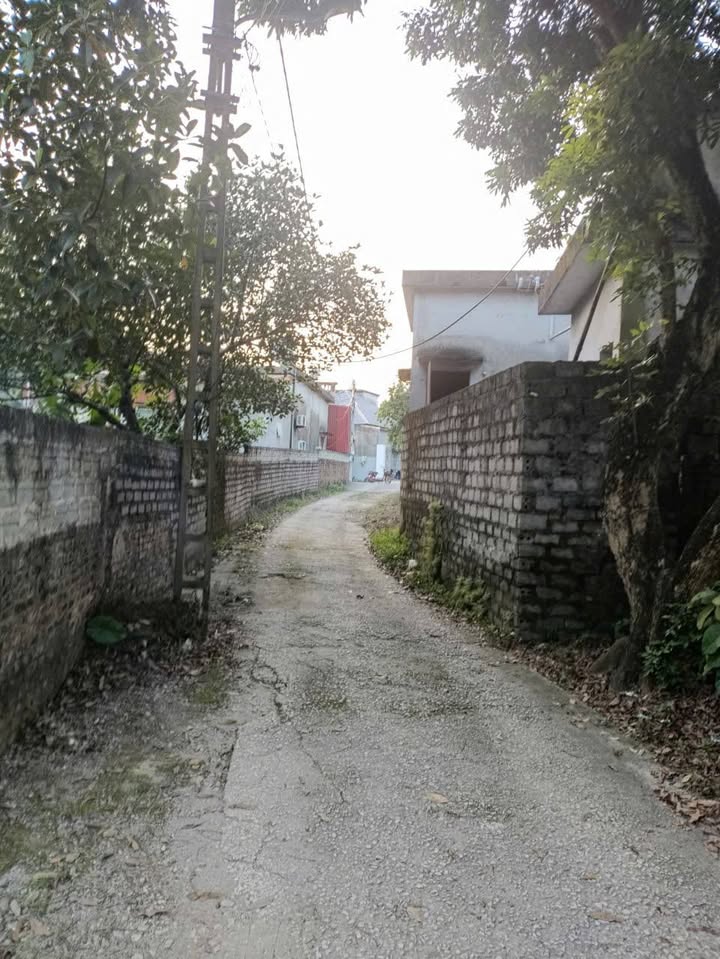 Đất thổ cư Tân Bình 99m² giá chỉ 7×× triệu - Cơ hội sở hữu ngay!