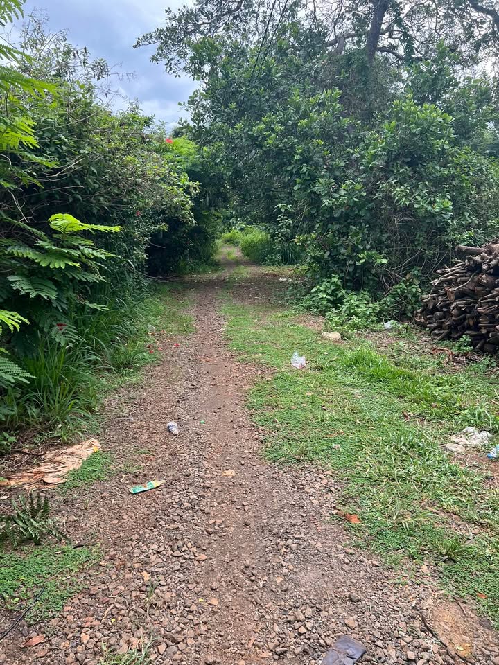 Lô đất thổ cư La Ngà 212m² giá 400 triệu - Sẵn sàng sở hữu ngay!