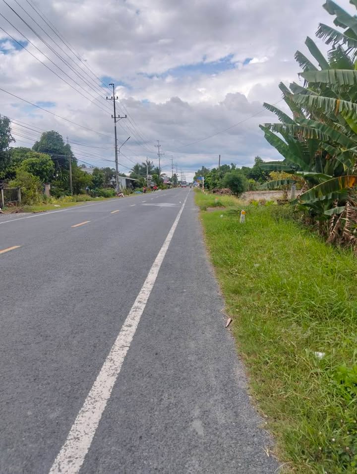 Đất Mặt Tiền Quốc Lộ 30, An Phong, 1500m² - Vị trí đẹp, kinh doanh thuận lợi!