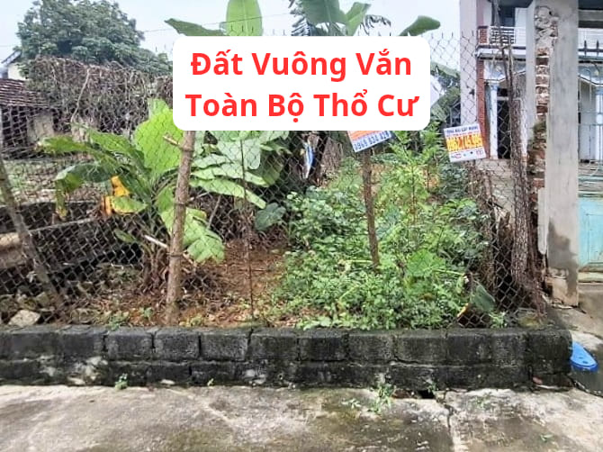 Đất nền Đông Yên, Quốc Oai 80.1m² - Sổ hồng chính chủ, giá tốt thỏa thuận!
