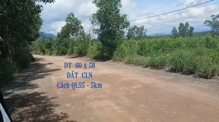 Đất trồng cây lâu năm 3 sào 6 tại Tân Xuân - Giá chỉ 1 tỷ, thương lượng nhẹ!