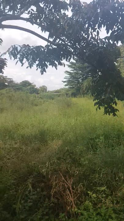 Đất vườn 3795m² đường 4C, xã Đa Phước, Bình Chánh - Sổ đỏ chính chủ chỉ 9.5 tỷ!