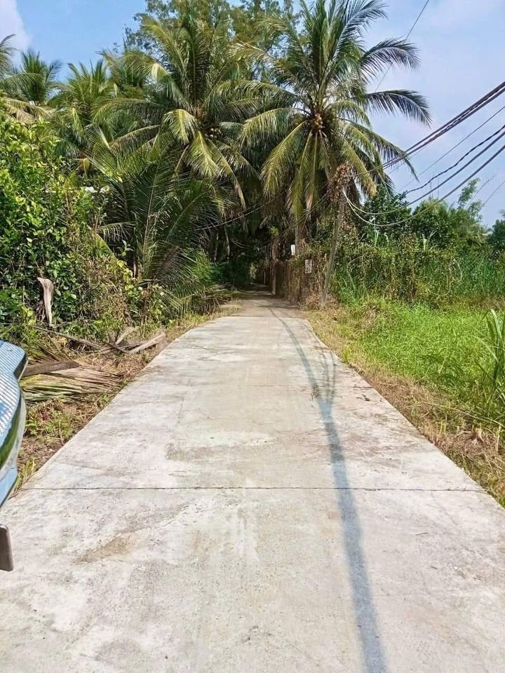 Đất nền Mỹ Phong, Mỹ Tho 258m² giá 650 triệu - Cơ hội đầu tư tuyệt vời!