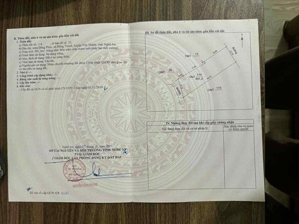 Đất thổ cư Xóm 1 Đồng Thành, Yên Thành 900m² - Phù hợp đầu tư phân lô!