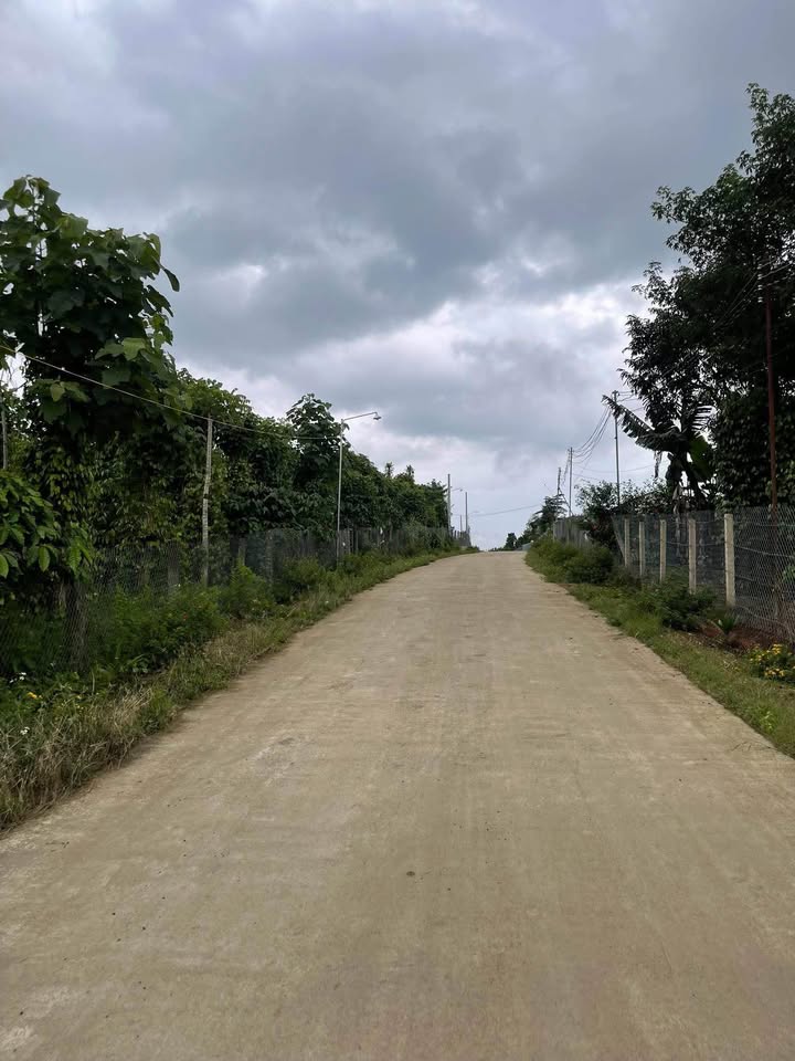 Đất nền 1400m² Hòa Ninh, Di Linh chỉ 800 triệu - Sổ đỏ chính chủ!