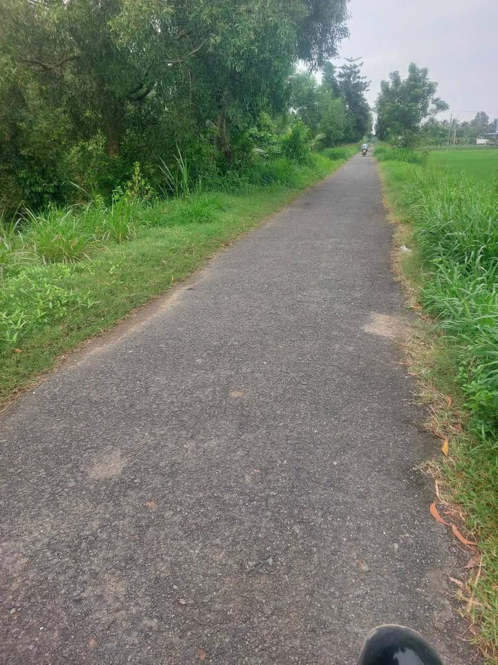 Bán đất nền 135m² tại xã Hòa Lợi, Châu Thành, Trà Vinh - Giá 4 tỷ, vị trí đắc địa gần trường ĐH Trà Vinh!